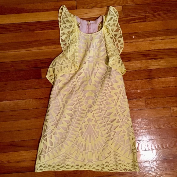 Ruffle Lace Sheath Dress - Picture 1 of 6